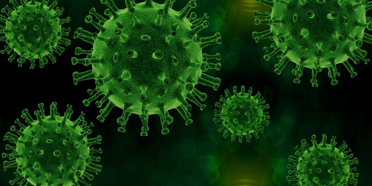 Obtención de nuevos inhibidores del virus de la hepatitis C mediante evolución in vitro.