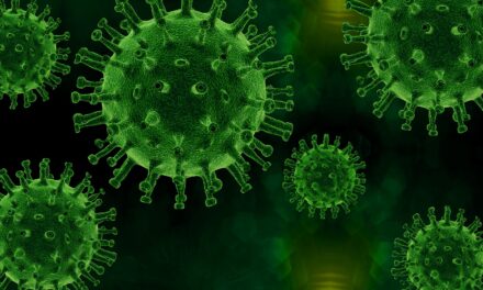 Obtención de nuevos inhibidores del virus de la hepatitis C mediante evolución in vitro.