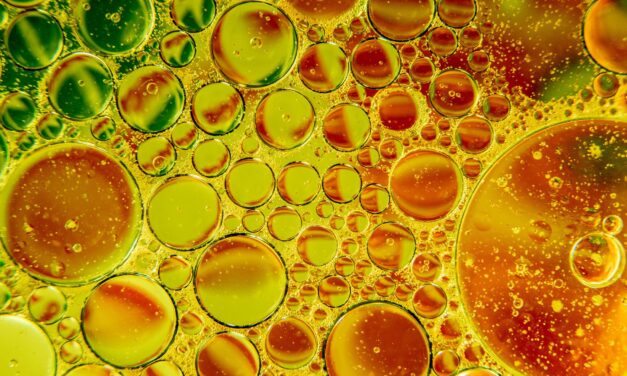 La PTI+TransEner estudia procesos de producción supercrítica de biodiésel a partir de aceites y grasas