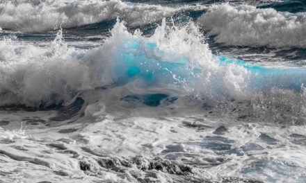 El CSIC lanza la PTI Oceans+ para investigar la respuesta del medio marino al cambio climático