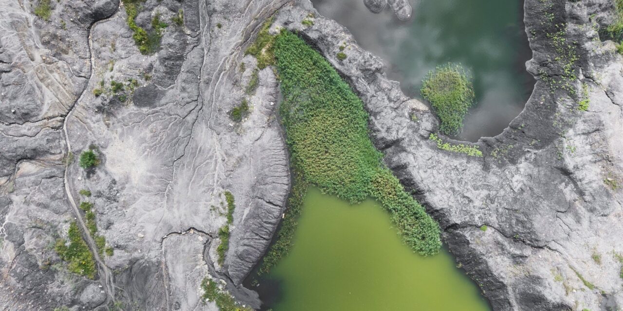 La PTI Clima incorpora el índice de sequía SPEI al catálogo público de Google Earth Engine